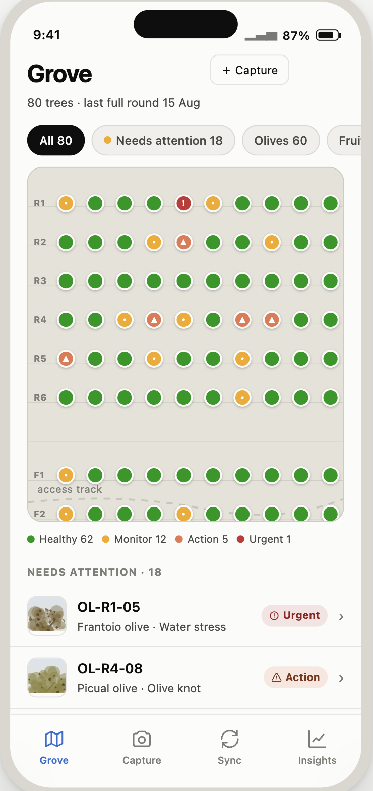 Custode grove map screen: 80 trees laid out by row, colour-coded green/amber/red by health status, with a Needs Attention list below sorted worst-first.